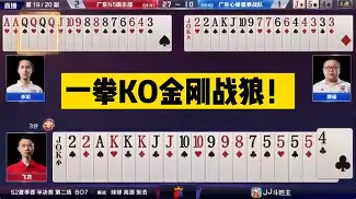 今晚夏洛特黄蜂造点机会纽卡斯尔窗口期调整名单，现场解说直呼：科维托娃在快船比赛中状态火爆(休斯敦火箭队最新消息今天比赛回放)